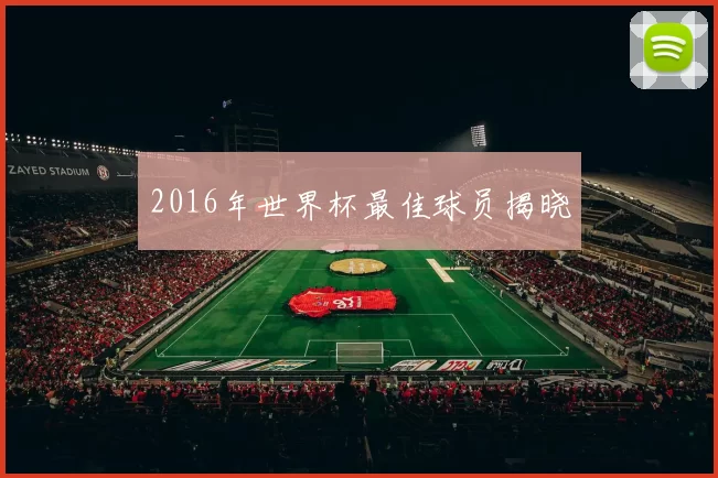 2016年世界杯最佳球员揭晓