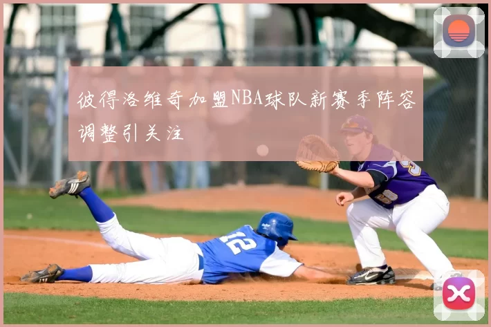 彼得洛维奇加盟NBA球队新赛季阵容调整引关注