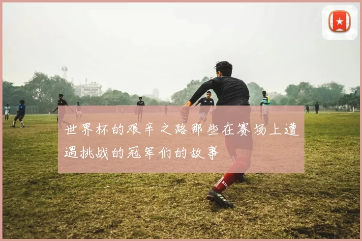 世界杯的艰辛之路那些在赛场上遭遇挑战的冠军们的故事