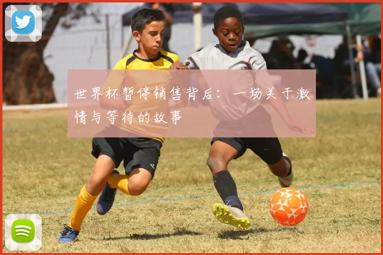 世界杯暂停销售背后:一场关于激情与等待的故事