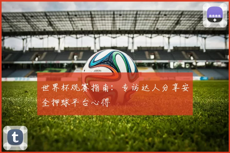 世界杯观赛指南:专访达人分享安全押球平台心得