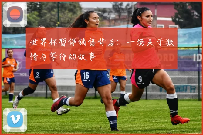 世界杯暂停销售背后:一场关于激情与等待的故事