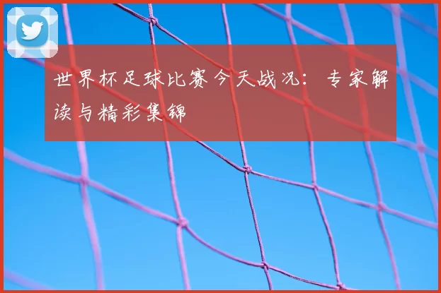 世界杯足球比赛今天战况:专家解读与精彩集锦