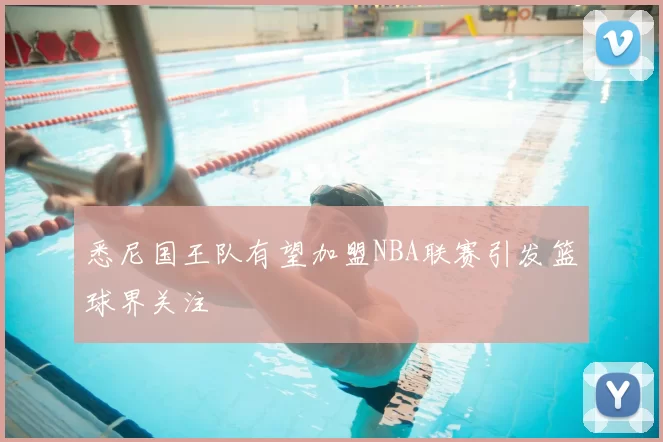 悉尼国王队有望加盟NBA联赛引发篮球界关注