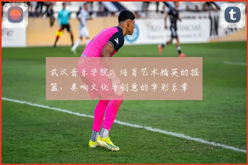 武汉音乐学院：培育艺术精英的摇篮，奏响文化与创意的华彩乐章