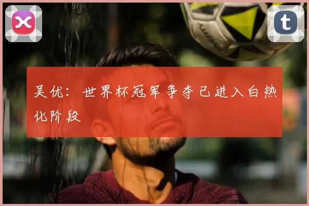 吴优：世界杯冠军争夺已进入白热化阶段