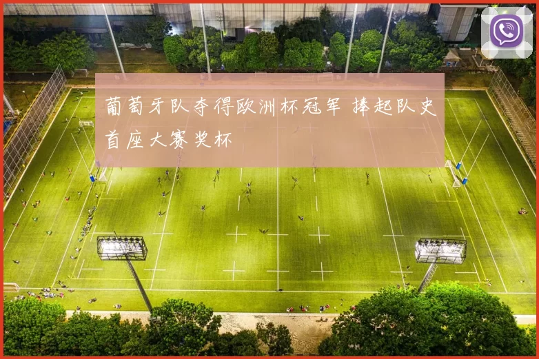 葡萄牙队夺得欧洲杯冠军 捧起队史首座大赛奖杯
