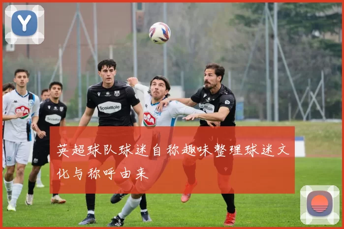 英超球队球迷自称趣味整理球迷文化与称呼由来