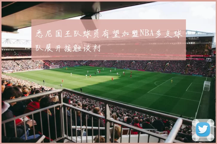 悉尼国王队球员有望加盟NBA多支球队展开接触谈判
